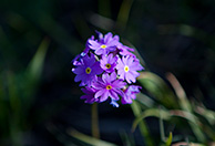 IMG_9047