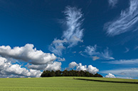 A field in Austria