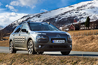 At Oppdal