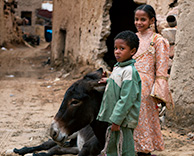Siwa