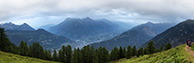Bovin farm, around Montblanc