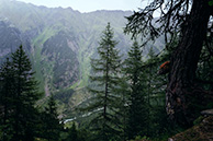 Alpes