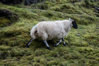 At Skye