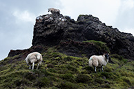 At Skye