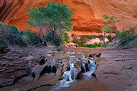 Cheese creek