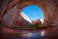 Alcove