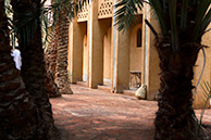Siwa sahara paradize
