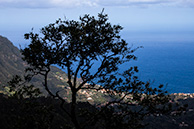 Riberio Frio