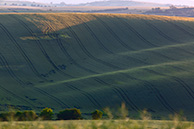 Southern Moravia, Mistrin