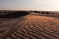 Sahara
