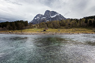 _MG_0182