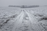 1I0A7352