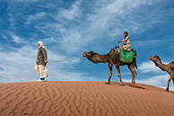 Camels