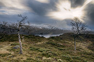 Hordalan