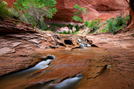 Cheese creek