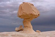 The stone chicken