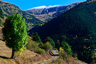 Mont