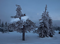 Заповедник Riisitunturi