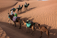 Caravan