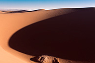 Sahara