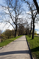 _MG_9666