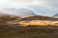 Glencoe