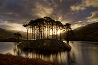 Fort William