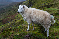 Somethere at Skye island