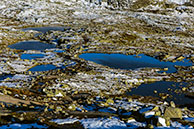 Troll tongue lakes
