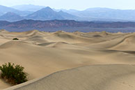 Mesquite Dunes