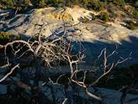 Escalante: Cedar Wash