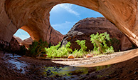 Jacob Hamblin Arch at Escalante