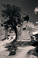 Love valley