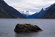 _MG_0267
