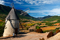 Cocugnan