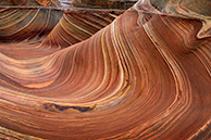 The wave