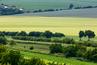 Velke Pavlovice