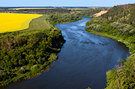 Дон у Кривоборья