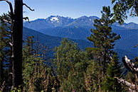 Шестаковка