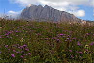 Чёртовы ворота