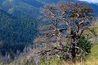 Чёртовы ворота (перевал)