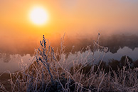 Ока в Чекалине