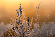 Ока в Чекалине