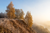 Осень в Чекалине