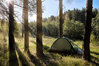 Утро на стоянке