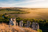 Воронежские Дивы