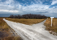 Дивногорье