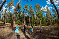 Хреновский бор