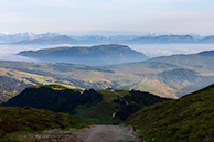 Сассо пиатто