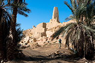 Siwa: Omon